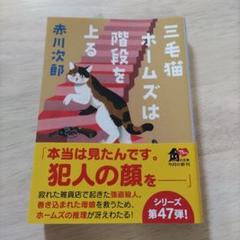 三毛猫ホームズは階段を上る