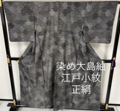 品良く着こなすため 一つ紋 スーパー鈴ガード 裄66 鮫小紋 江戸小紋 付下げ AK-4165 正絹 着物・浴衣