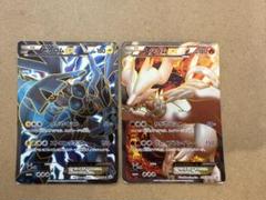 ゼクロムex レシラムex セットプロモ ブラック ホワイト ポケモンカード