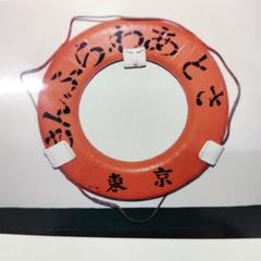 フェリーパンフレット　　　　　フェリー救命浮き輪写真集33枚
