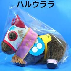 【新品】ハルウララ 競馬 ぬいぐるみウマ娘アイドルホース馬AVANTI新Verのサムネイル