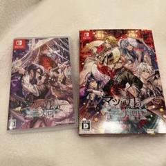 Switch マツリカの炯-kEi- 天命胤異伝 特装版