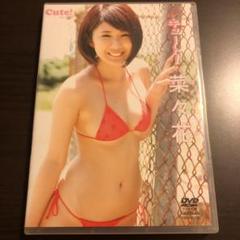 菜々花 キュート! 正規品 DVD