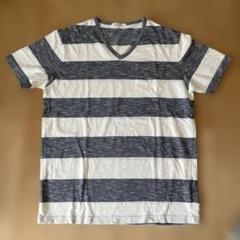 バックナンバー　コットンボーダーTシャツのサムネイル