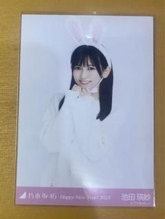 乃木坂46 - 池田瑛紗　生写真　うさぎ　干支　コンプ 乃木坂46 - 池田瑛紗 生写真 うさぎ 干支 コンプの通販 by nogi
