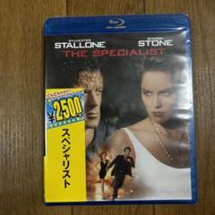 スペシャリスト('94米)