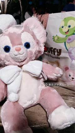 激カワ❗️美顔❗️リーナベル ぬいぐるみmサイズ　クリスマス　⑨ 楽天市場】リーナベル ぬいぐるみ Mサイズ クリスマス