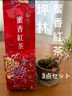 2025年最新】台湾茶 梨山の人気アイテム - メルカリ