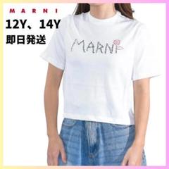 【残1】大人もOK MARNI シャツ 半袖 ロゴ ブラック 12Y 150cm MARNI】 胸ポケット ロゴ Tシャツ 大人もOK SS24 (MARNI/キッズ