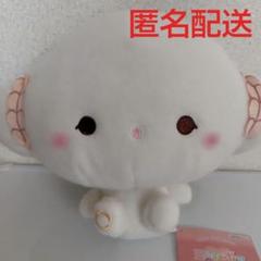 サンリオキャラクターズ　ミルキーボアBIGぬいぐるみ　こぎみゅん