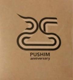 PUSHIM FEEL IT MURO 新品未使用 7インチ kodp