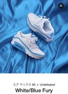 2025年最新】UNDEFEATED NIKE AIR MAX 90の人気アイテム - メルカリ