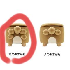 ポケモンスツール　ビッパ（オスのすがた） 画像ギャラリー No.010 | ビッパのスツール，ポケモンセンター