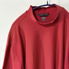 ナイキgolf ゴルフウェア 半袖 Tシャツ モックネック 赤系 メンズLサイズ