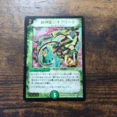 デュエマ　緑神龍ジオブリード　初期　プロモ　ジオブリードのサムネイル
