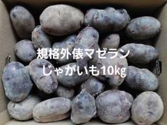 ぽん太！俵マゼラン10㎏、俵アルタイル10㎏　計20㎏ ぽん太様専用！俵マゼラン10㎏、俵アルタイル10㎏ 計20㎏ - メルカリ