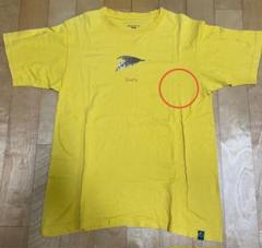 patagonia Tシャツ ZenFly 禅 フライ　サイズS