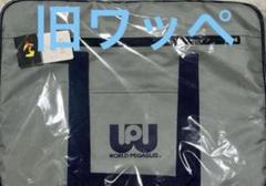 【新品未開封】ワールドペガサス　スクバ　グレー　旧ワッペ