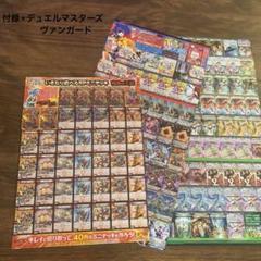 【SPあり】ヴァンガード Dスタンダード テグリア デッキパーツ 23枚 Dスタン】デカ過ぎんだろ…テグリア【ヴァンガード】｜あまりん