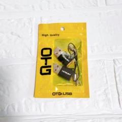 USB Type-C 変換アダプタ 急速充電 2個セット