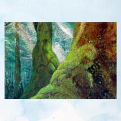 [宅送] B3 風景画「屋久杉の森」アクリル画 額なし メルカリ - 屋久島の風景 絵画