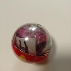 【新品未使用】東京ディズニーリゾート限定　カプセルトイ　エコバッグ　デイジー　紫