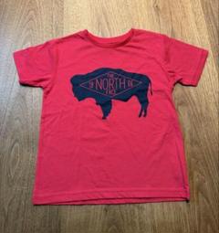 お盆休み前に値下げします！ THE NORTH FACE Tシャツ 130
