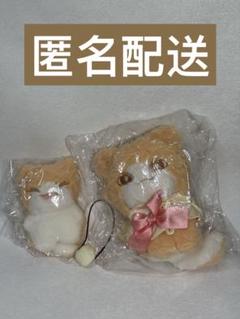ジュン　ミンハオ　ぬいぐるみ　10cm 新品　マスター　セブチ　svt