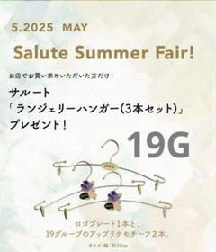 ワコール/サルート 新品 非売品ハンガー 19グループ 箱付き