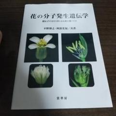 花の分子発生遺伝学 遺伝子のはたらきによる花の形づくり