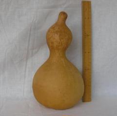 期間限定値引✨【訳あり】乾燥ひょうたん84個　ハンドメイド　工作素材クラフト大量 2025年最新】乾燥瓢箪の人気アイテム - メルカリ