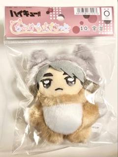 ハイキュー ちみけもますこっと 稲荷崎 宮治 宮侑 セット④ ちみけもマスコット ハイキュー 宮治 宮侑 稲荷崎 - メルカリ