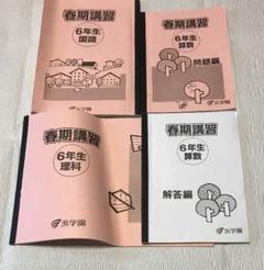 浜学園 小6 国語 算数 理科 春期講習解答込み教材 中学受験