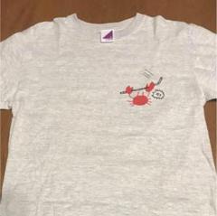 乃木坂46 Ｔシャツ/西野七瀬 卒業コンサート Lサイズ 新品未開封 m27892497728_1.jpg?1693063340