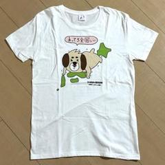 KANA-BOON ツアーTシャツ 全国とぅるとぅる編　Sサイズ