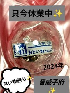 2025年最新】道の駅 ピンズ シルバーの人気アイテム - メルカリ
