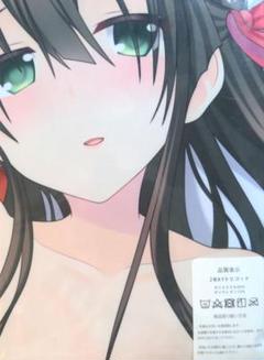 戦国†恋姫 詩乃 抱き枕カバー 藤商事 戦国恋姫 詩乃 抱き枕カバー 藤商事