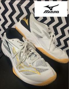 MIZUNO▪︎ミズノ▪︎バレーボールシューズ▪︎THUNDER BLADE Z