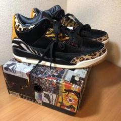 Air Jordan 3 Animal Retro SE 28.5cm
