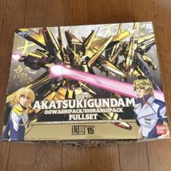 2025年最新】アカツキガンダム 1/100の人気アイテム - メルカリ