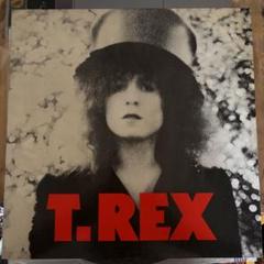 2025年最新】T.REX SLIDERの人気アイテム - メルカリ