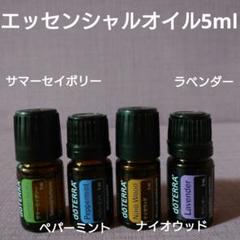 ドテラ　エッセンシャルセット　未使用 DSC08335-1450x967.jpg