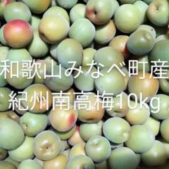 【当日出荷】 みなべ町産 紀州 南高梅 2L3L 10kg +おまけ