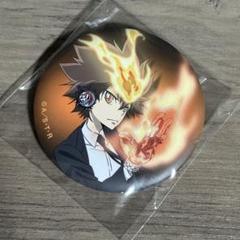 家庭教師ヒットマンREBORN! キャラバッジコレクション 沢田綱吉 缶バッジ