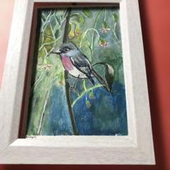 可愛い鳥　ローズロビン　水彩画　絵手紙　原画