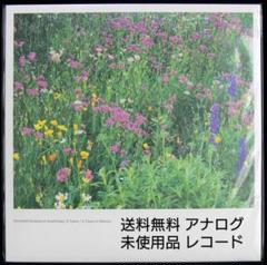 送料無料][未使用品 アナログレコード LP] Kazufumi Kodama
