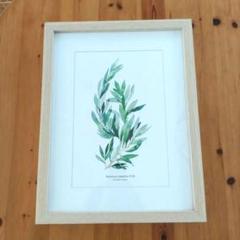 Francfranc　アートボード　ボタニカル　額縁付き　絵画　ナチュラル