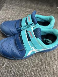 ASICS 安全靴　 青　27㌢ ウィンジョブ asics 安全靴 CP215 ローカット セーフティ