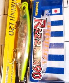 ドルフィン225 - HEAD & TAIL Web Shop