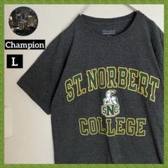 チャンピオン カレッジ 刺繍目玉 NCAA セントノーバート Tシャツ tシャツ